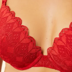 Soutien-gorge N.5 - Le Coques Fines Plongeant​ -Magasin De Lingerie Etam 653089573 b