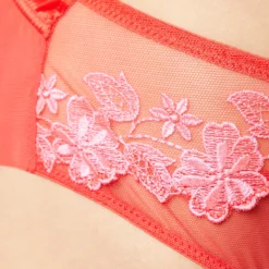 Hipster En Tulle Brodé -Magasin De Lingerie Etam 653809490 b